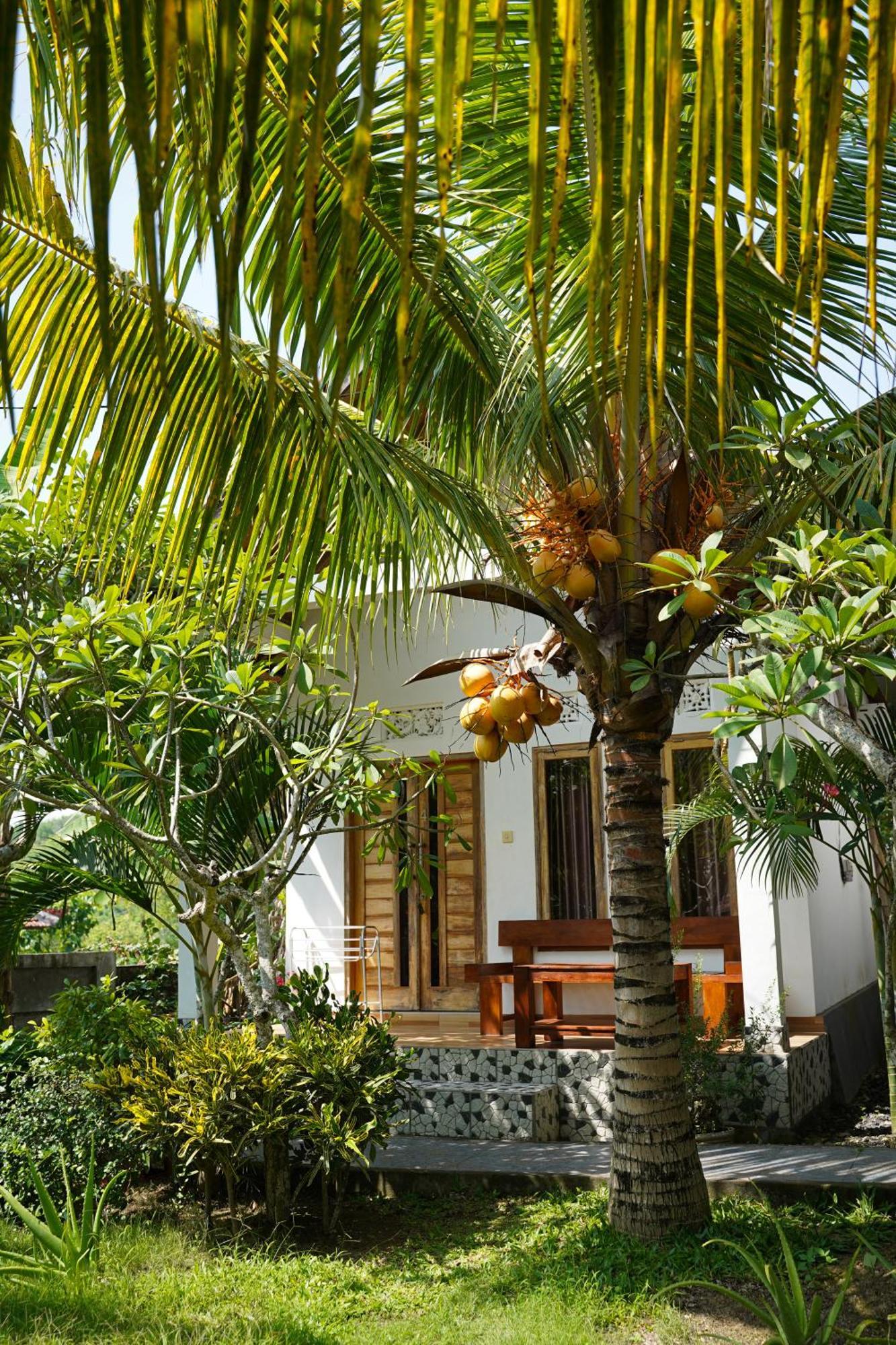 Wahyu Masari Homestay Sakti Kültér fotó